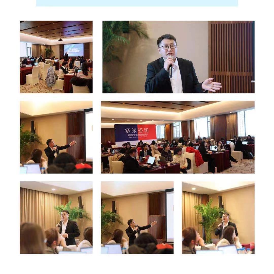 多米咨詢阿里國際站