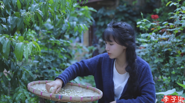 李子柒.png